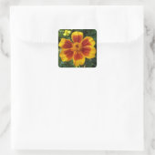 Disco Marigold Oranje en Red Summer Flower Vierkante Sticker (Tas)