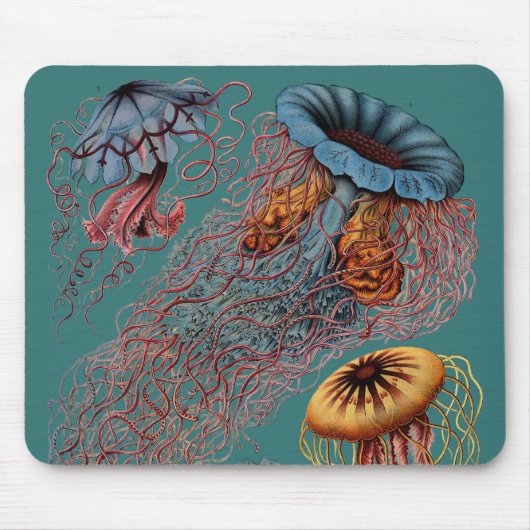 Disco Medusae van Ernst Haeckel Muismat (Voorkant)