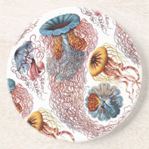 Disco Medusae van Ernst Haeckel Zandsteen Onderzetter