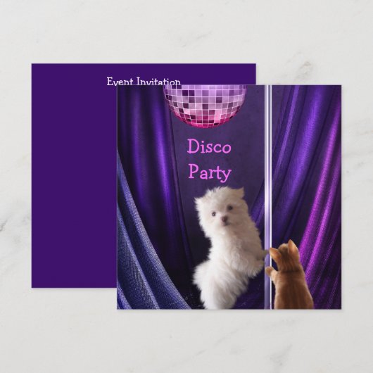 Disco Party Hond Kat Maltees Vrijgezellenfeest Kaart (Voorkant / Achterkant)