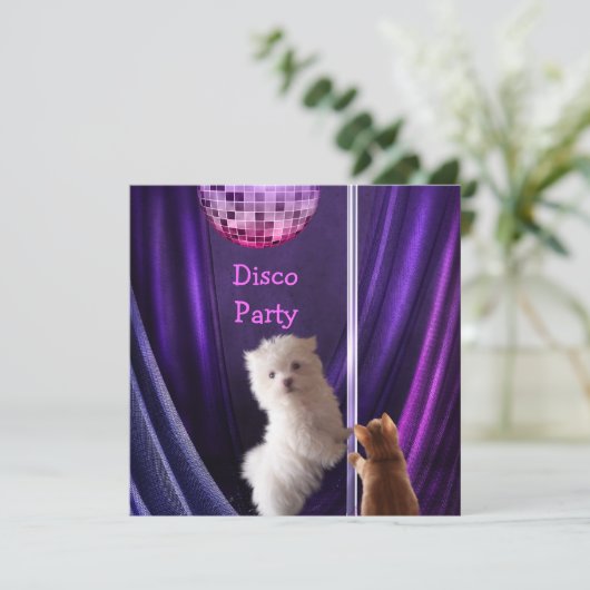 Disco Party Hond Kat Maltees Vrijgezellenfeest Kaart (Staand voorkant)
