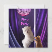Disco Party Hond Kat Maltees Vrijgezellenfeest Kaart (Voorkant)