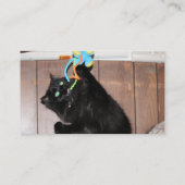 Disco Visitekaartje (Achterkant)