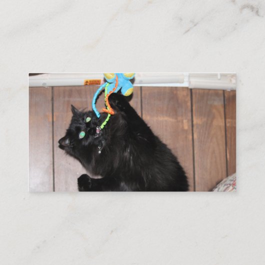 Disco Visitekaartje (Achterkant)