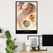 Discomedusae - Bord 8 - Kunstformen der Natur Poster (Thuiskantoor)