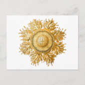 Discomedusae Briefkaart (Voorkant)