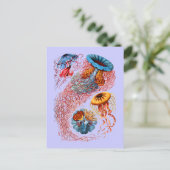 Discomedusae Briefkaart (Staand voorkant)