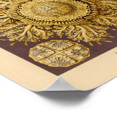  Discomedusae kleur Ernst Haeckel afdrukken Poster (Hoek)