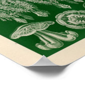  Discomedusae kleur Ernst Haeckel Art Afdrukken Poster (Hoek)