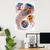 Discomedusae Poster (Thuiskantoor)