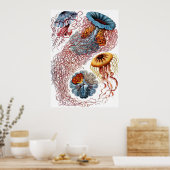 Discomedusae Poster (Keuken)