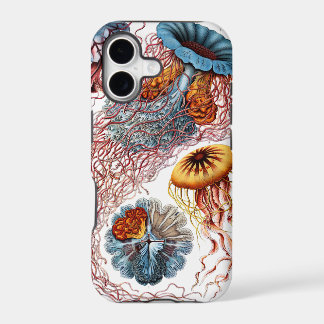 Discomedusae van Ernst Haeckel