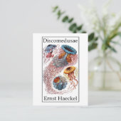 Discomedusae van Ernst Haeckel Briefkaart (Staand voorkant)