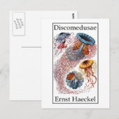 Discomedusae van Ernst Haeckel Briefkaart (Voorkant / Achterkant)