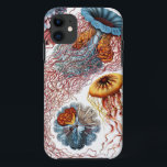 Discomedusae van Ernst Haeckel iPhone 11 Hoesje<br><div class="desc">Ga naar mijn winkel voor een interessanter design en meer kleurenkeuze. =>     zazzle.com/colorfulworld*</div>