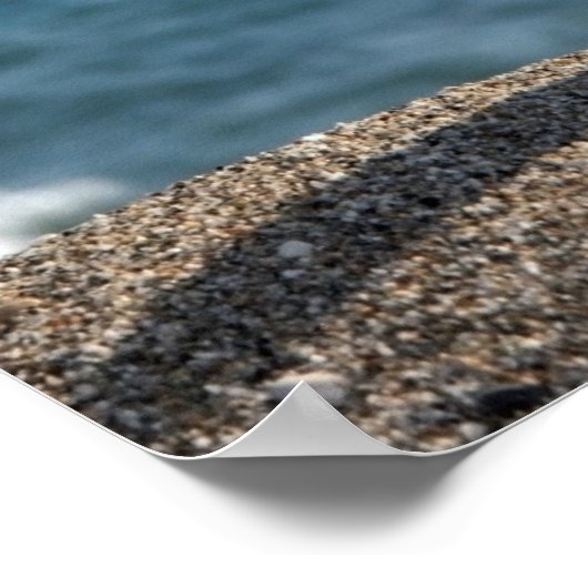 Discover Chiropractic 20x16 Poster (Hoek)