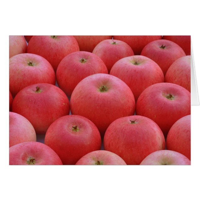 Discovery Apples (Voorkant Horizontaal)