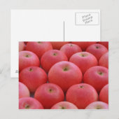 Discovery Apples Briefkaart (Voorkant / Achterkant)