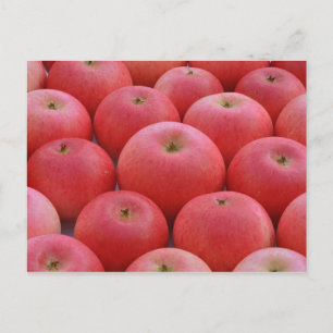 Discovery Apples Briefkaart