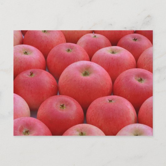 Discovery Apples Briefkaart (Voorkant)