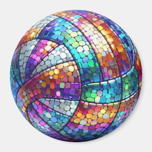 discovolleybalmagneet magneet (Voorkant)