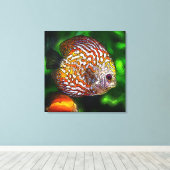 Discus_20170601_by_JAMColors Canvas Afdruk (Insitu (Houten vloer))