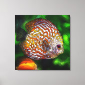 Discus_20170601_by_JAMColors Canvas Afdruk (Voorkant)