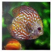 Discus_20170601_by_JAMColors Tegeltje (Voorkant)