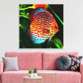 Discus aquarium vis canvas print (Insitu (Woonkamer))