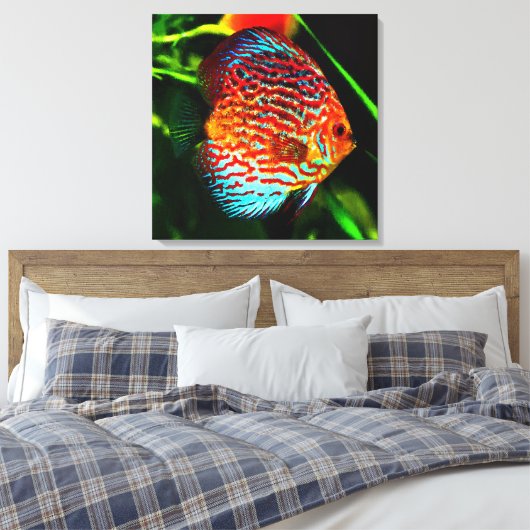 Discus aquarium vis canvas print (Insitu (Slaapkamer))