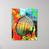 Discus aquarium vis canvas print (Voorkant)