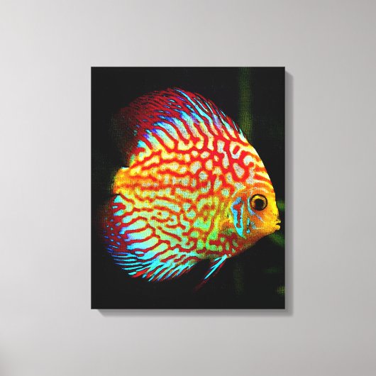 Discus aquarium vis canvas print (Voorkant)