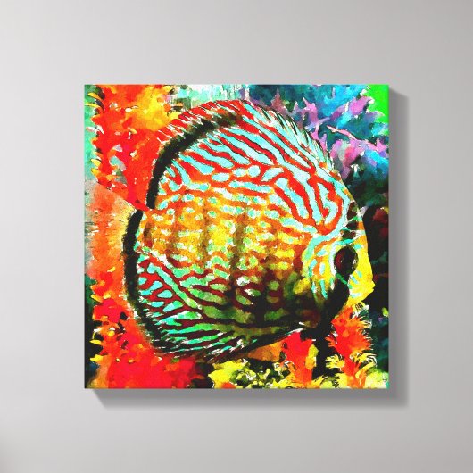Discus aquarium vis canvas print (Voorkant)