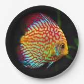 Discus aquarium visetenpapier bord (Voorkant)