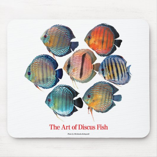 Discus fishのマウスパッド muismat (Voorkant)