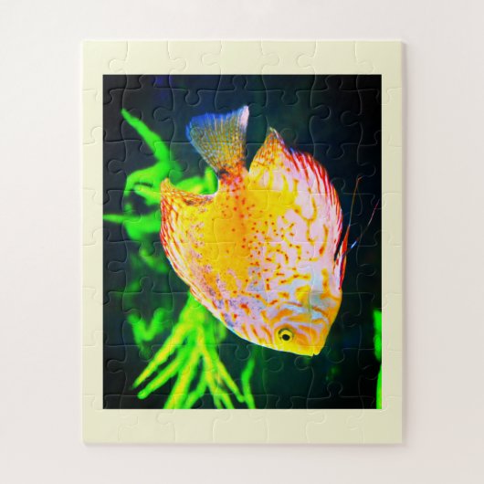Discus fish animal legpuzzel (Verticaal)
