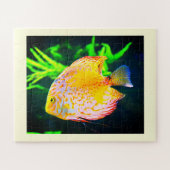 Discus fish animal legpuzzel (Horizontaal)