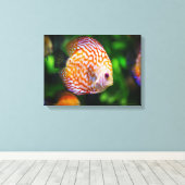 Discus fish canvas afdruk (Insitu (Houten vloer))