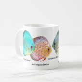 Discus fish koffiemok (Voorkant links)