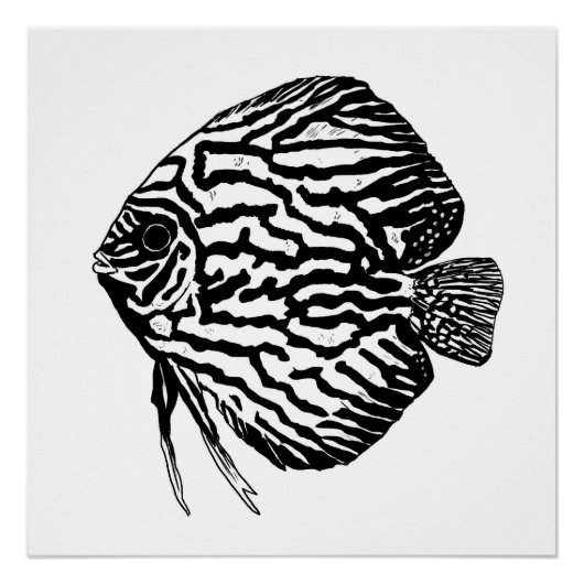Discus fish print / poster (Voorkant)