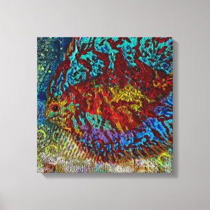Discus Fish Stretched Canvas Print