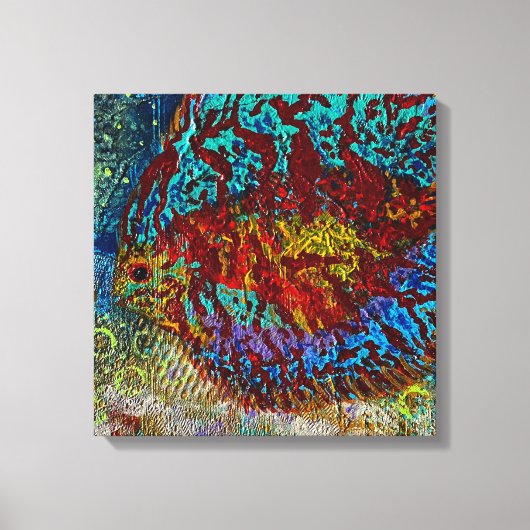 Discus Fish Stretched Canvas Print (Voorkant)