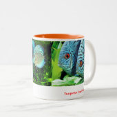 Discus fish tweekleurige koffiemok (Voorkant rechts)
