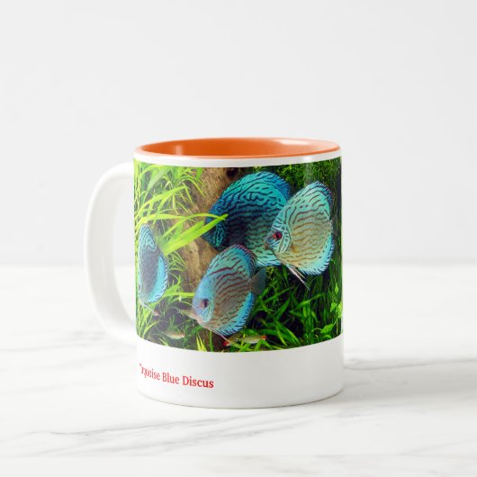 Discus fish tweekleurige koffiemok (Voorkant links)