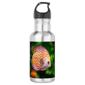 Discus fish waterfles (Voorkant)