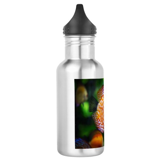 Discus fish waterfles (Links)