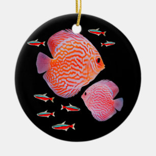 Discus Kardinaal Tetras Aquarium Fish Tank Lovers Keramisch Ornament