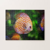 Discus Legpuzzel (Horizontaal)