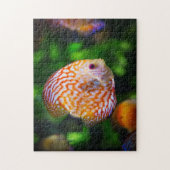 Discus Legpuzzel (Verticaal)
