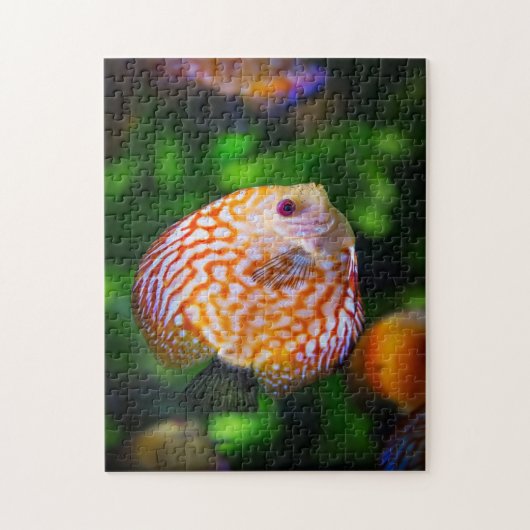 Discus Legpuzzel (Verticaal)